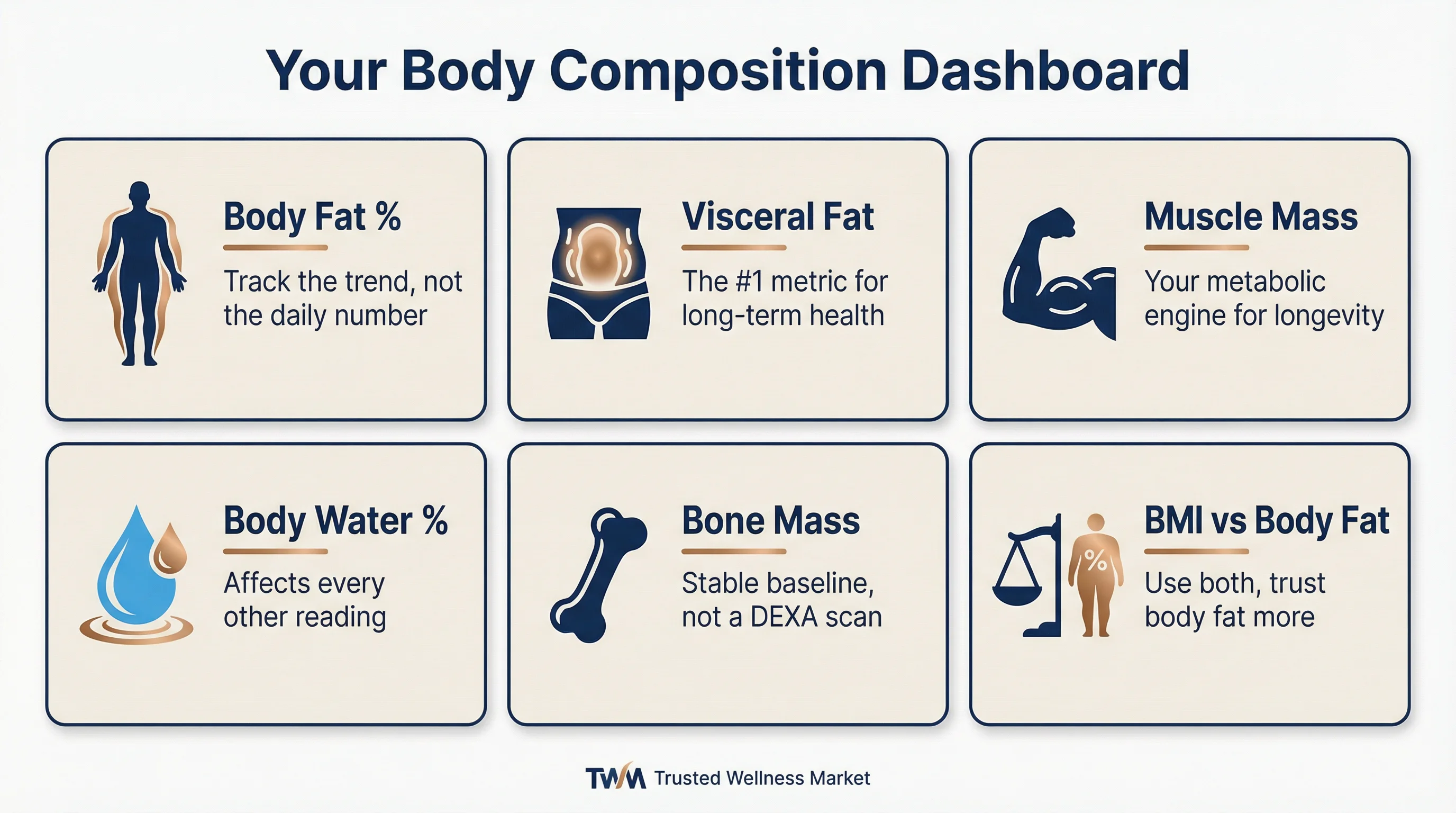 Body composition metrics dashboard — summary of 6 key smart scale readings: body fat percentage, visceral fat level, muscle mass, body water percentage, bone mass, and BMI vs body fat.